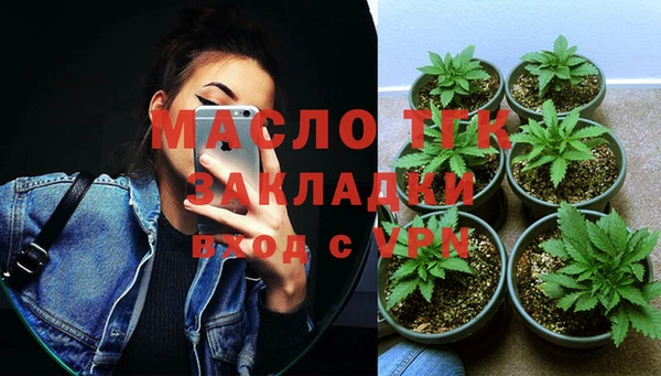 гашик Верея