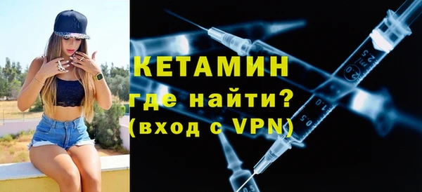 крисы Бородино