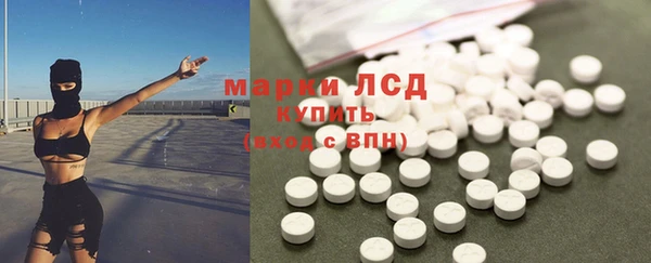 гашик Верея