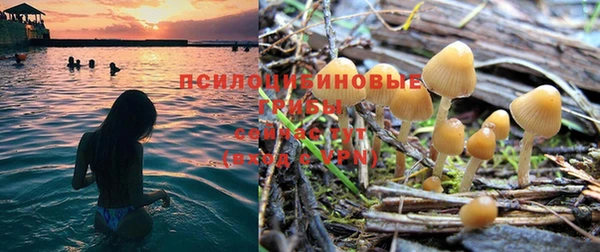 гашик Верея