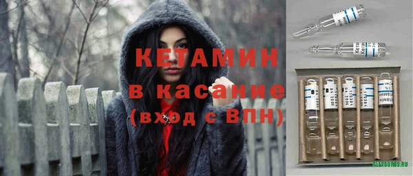 прущие грибы Бронницы