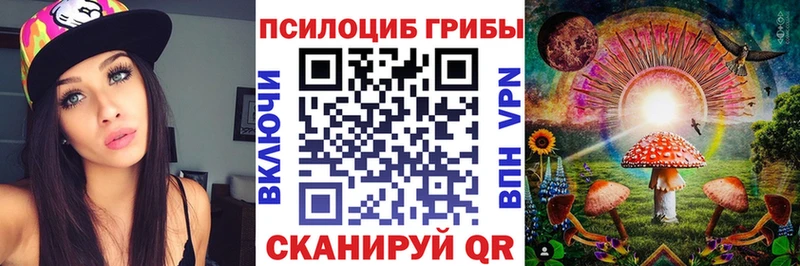 Купить закладки  Лысково  Галлюциногенные грибы Psilocybe 